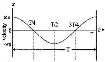 Plus One Physics Notes Chapter 14 Oscillations 11