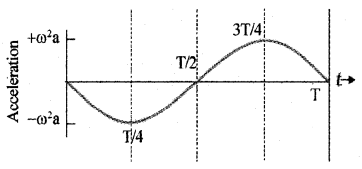 Plus One Physics Notes Chapter 14 Oscillations 12