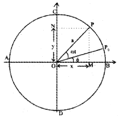 Plus One Physics Notes Chapter 14 Oscillations 6