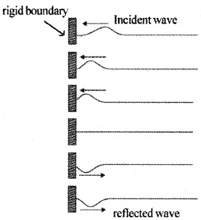 Plus One Physics Notes Chapter 15 Waves 13