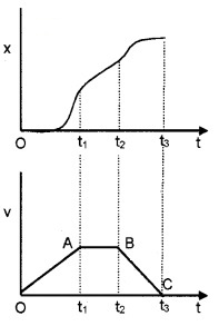 Plus One Physics Notes Chapter 3 Motion in a Straight Line 39