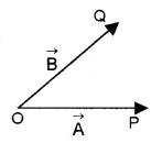 Plus One Physics Notes Chapter 4 Motion in a Plane 13