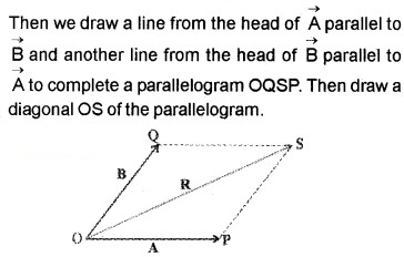 Plus One Physics Notes Chapter 4 Motion in a Plane 14