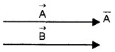 Plus One Physics Notes Chapter 4 Motion in a Plane 3