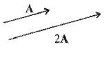 Plus One Physics Notes Chapter 4 Motion in a Plane 6