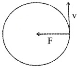 Plus One Physics Notes Chapter 6 Work, Energy and Power 13