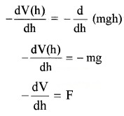 Plus One Physics Notes Chapter 6 Work, Energy and Power 19