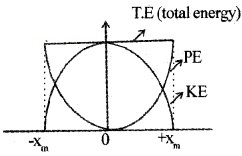 Plus One Physics Notes Chapter 6 Work, Energy and Power 31