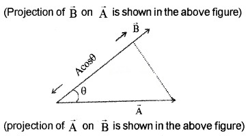 Plus One Physics Notes Chapter 6 Work, Energy and Power 4