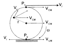 Plus One Physics Notes Chapter 7 Systems of Particles and Rotational Motion 72