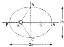 Plus One Physics Notes Chapter 8 Gravitation 1