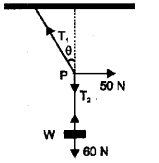 Plus One Physics Previous Year Question Paper March 2018, 19