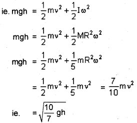 Plus One Physics Previous Year Question Paper March 2019, 13