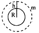 Plus One Physics Previous Year Question Paper March 2019, 14