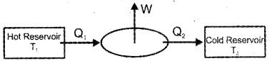 Plus One Physics Previous Year Question Paper March 2019, 17