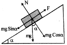 Plus One Physics Previous Year Question Paper March 2019, 19