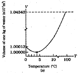 Plus One Physics Previous Year Question Paper March 2019, 2