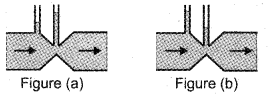 Plus One Physics Previous Year Question Paper March 2019, 20