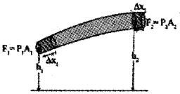 Plus One Physics Previous Year Question Paper March 2019, 21