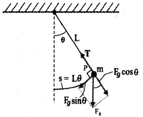 Plus One Physics Previous Year Question Paper March 2019, 23