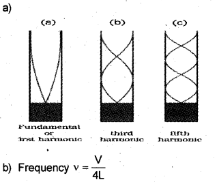 Plus One Physics Previous Year Question Paper March 2019, 5