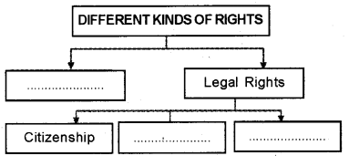 Plus One Political Science Chapter Wise Questions and Answers Chapter 5 Rights Q5