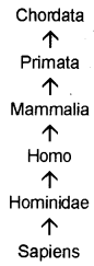 Plus One Zoology Chapter Wise Previous Questions Chapter 2 Animal Kingdom 1