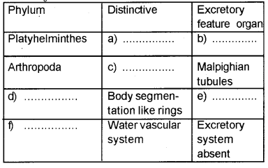 Plus One Zoology Chapter Wise Previous Questions Chapter 2 Animal Kingdom 10