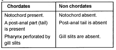 Plus One Zoology Chapter Wise Previous Questions Chapter 2 Animal Kingdom 12