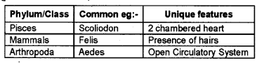 Plus One Zoology Chapter Wise Previous Questions Chapter 2 Animal Kingdom 21