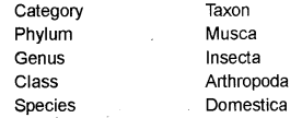 Plus One Zoology Chapter Wise Previous Questions Chapter 2 Animal Kingdom 23