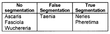 Plus One Zoology Chapter Wise Previous Questions Chapter 2 Animal Kingdom 4