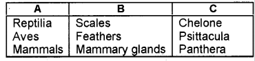 Plus One Zoology Chapter Wise Previous Questions Chapter 2 Animal Kingdom 6