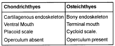 Plus One Zoology Chapter Wise Previous Questions Chapter 2 Animal Kingdom 9