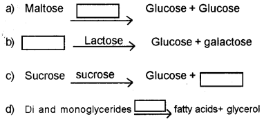 Plus One Zoology Chapter Wise Previous Questions Chapter 4 Biomolecules 1