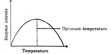 Plus One Zoology Chapter Wise Previous Questions Chapter 4 Biomolecules 12