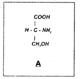 Plus One Zoology Chapter Wise Previous Questions Chapter 4 Biomolecules 14