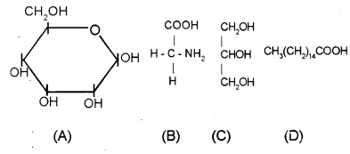 Plus One Zoology Chapter Wise Previous Questions Chapter 4 Biomolecules 2