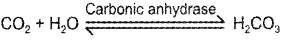 Plus One Zoology Chapter Wise Previous Questions Chapter 4 Biomolecules 3