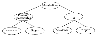 Plus One Zoology Chapter Wise Previous Questions Chapter 4 Biomolecules 6