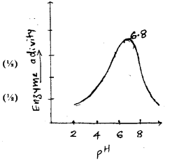 Plus One Zoology Chapter Wise Previous Questions Chapter 4 Biomolecules 7