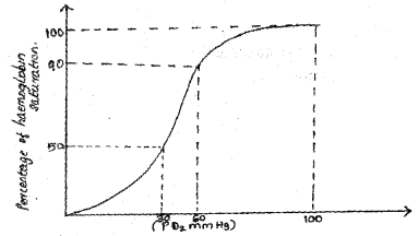 Plus One Zoology Chapter Wise Previous Questions Chapter 6 Breathing and Exchange of Gases 2