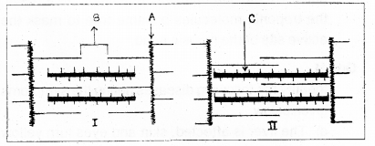 Plus One Zoology Chapter Wise Previous Questions Chapter 9 Locomotion and Movement 4