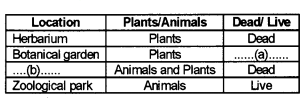 Plus One Zoology Chapter Wise Questions and Answers Chapter 1 The Living World 2M Q8