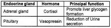 Plus One Zoology Chapter Wise Questions and Answers Chapter 11 Chemical Coordination and integration 2M Q26.1