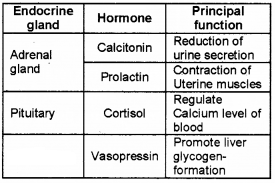 Plus One Zoology Chapter Wise Questions and Answers Chapter 11 Chemical Coordination and integration 2M Q26