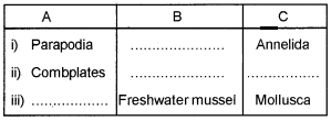 Plus One Zoology Chapter Wise Questions and Answers Chapter 2 Animal Kingdom 1M Q1