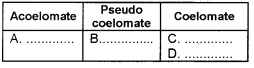 Plus One Zoology Chapter Wise Questions and Answers Chapter 2 Animal Kingdom 2M Q18