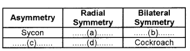 Plus One Zoology Chapter Wise Questions and Answers Chapter 2 Animal Kingdom 2M Q26