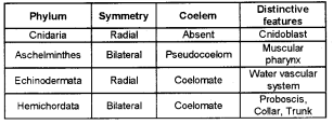 Plus One Zoology Chapter Wise Questions and Answers Chapter 2 Animal Kingdom 2M Q27.1